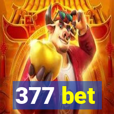 377 bet